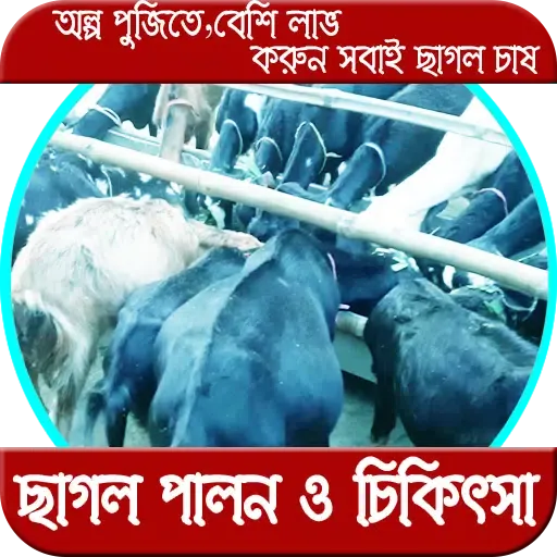 ছাগল পালন ও চিকিৎসা应用截图