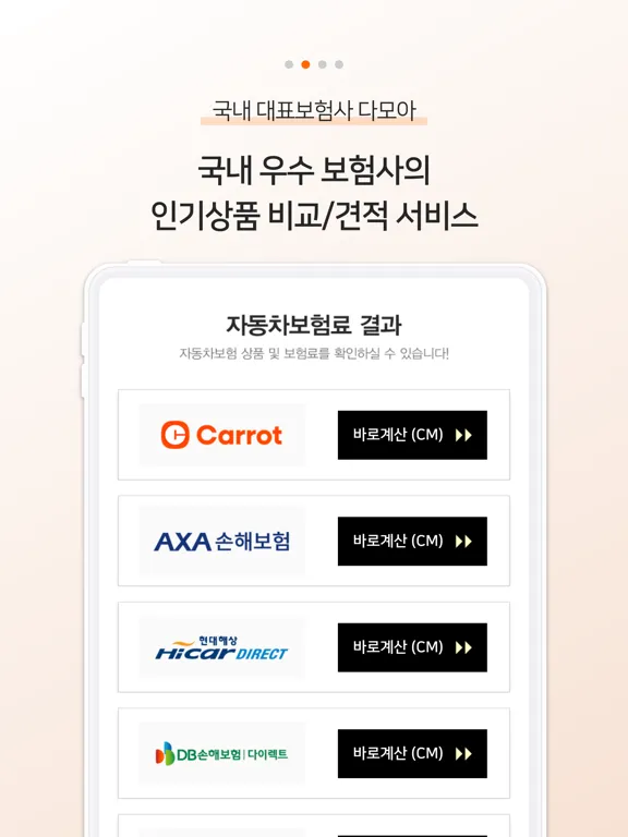 차플 - 가장 저렴한 다이렉트 자동차보험 비교 iPad 应用截图