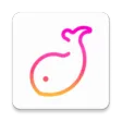 伴鱼音乐 伴鱼音乐