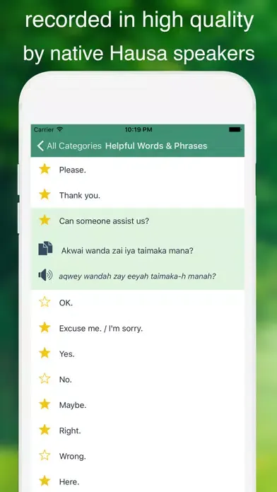 Tangkapan layar Speak Hausa - Learn Hausa Phrases & Words