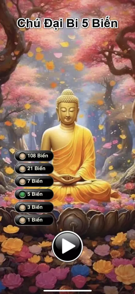 Chú Đại Bi Screenshots