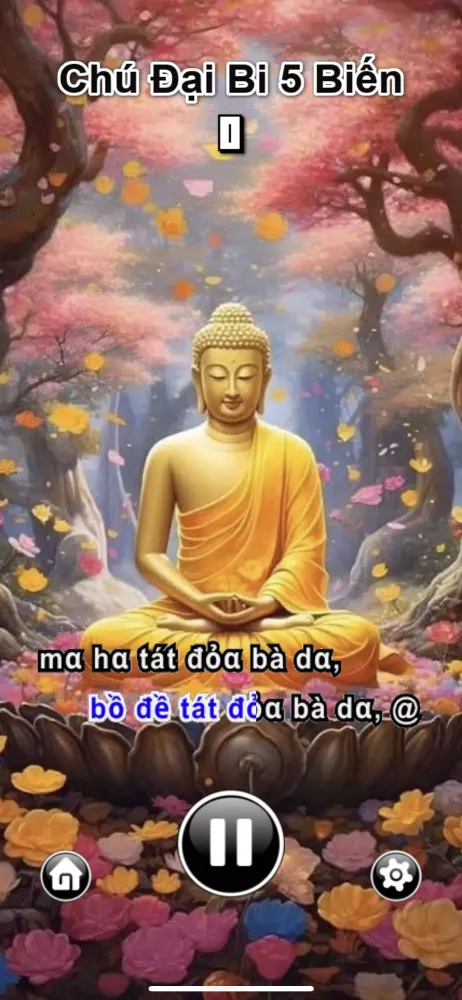 Chú Đại Bi Screenshots