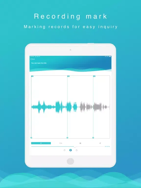 Voice Recorder—recorder instru iPad  স্ক্রিনশট