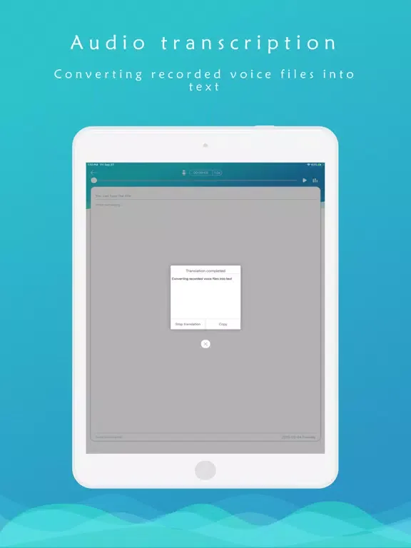 Voice Recorder—recorder instru iPad  স্ক্রিনশট