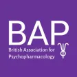 BAP Summer Meeting 2019