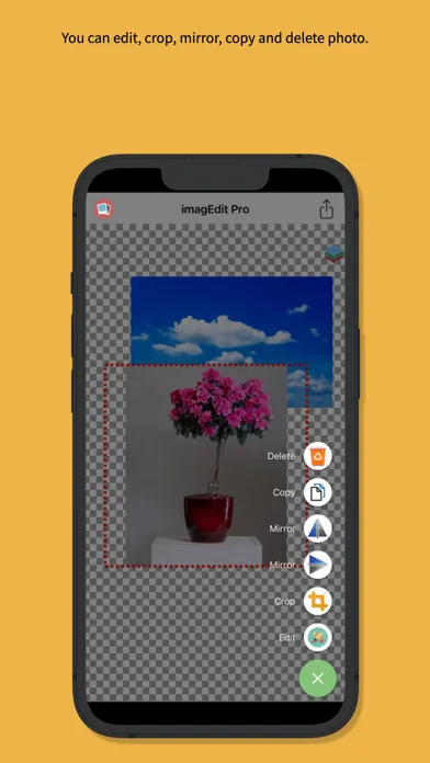 Скриншоты imagEdit Pro :  Color Replace