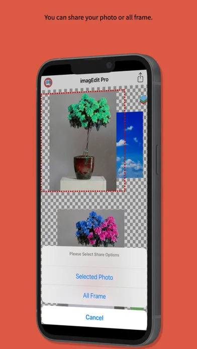 Скриншоты imagEdit Pro :  Color Replace