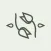 Baqah - Flowers & Plants