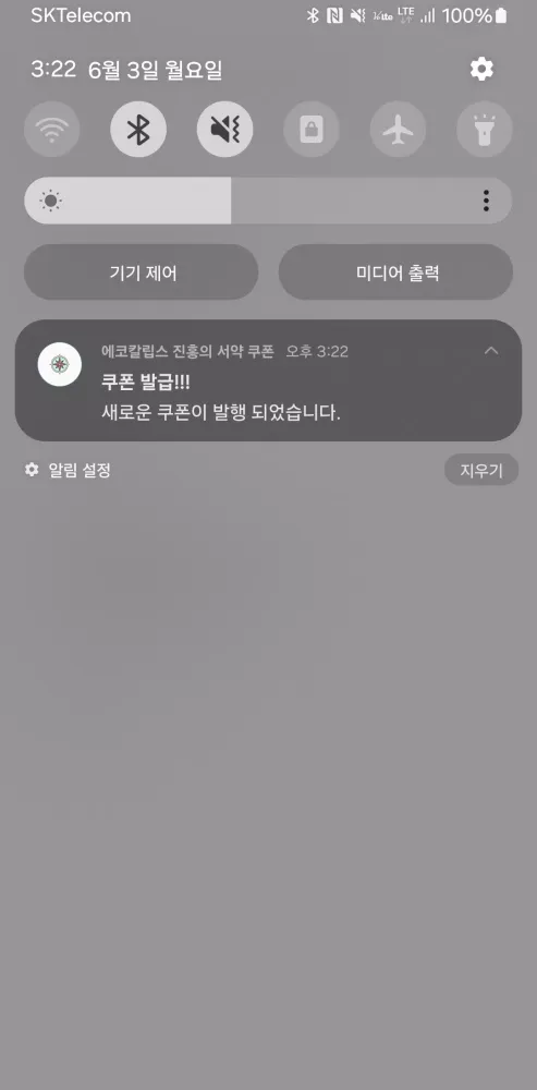 Tangkapan skrin 에코칼립스 진홍의 서약 쿠폰