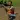 Tips Fortnite Battle Royale