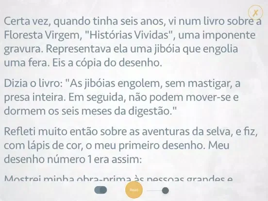 Tangkapan skrin O Prinzipezinho - Audiolivro iPad 