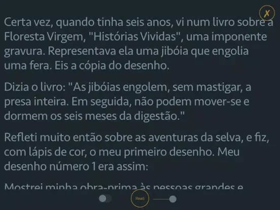 Tangkapan skrin O Prinzipezinho - Audiolivro iPad 