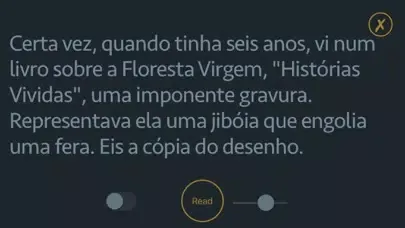 Tangkapan skrin O Prinzipezinho - Audiolivro