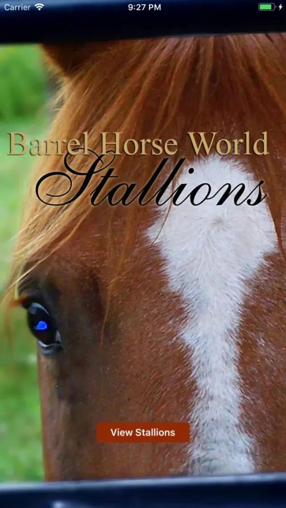 Capturas de pantalla de Barrel Horse World Stallions
