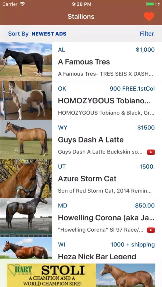 Capturas de pantalla de Barrel Horse World Stallions