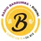 Radio Barrumba