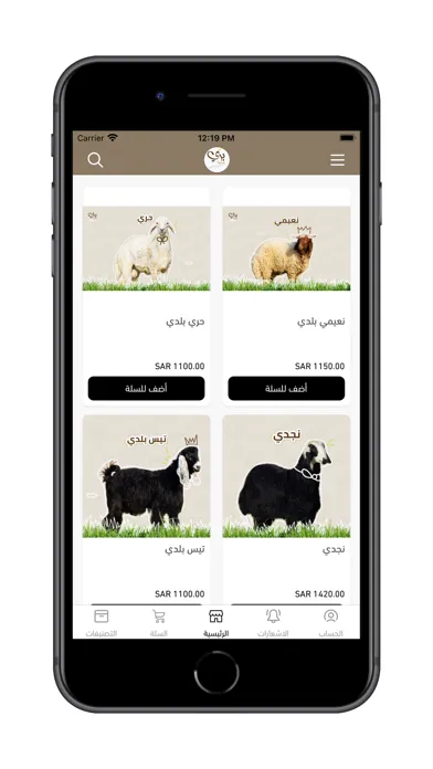 صور بري Barry