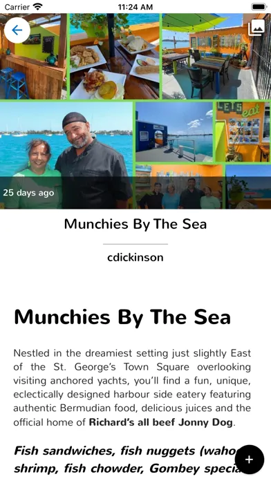 Screenshot di Bermuda.com
