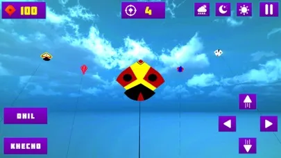 Basant Festival-Kite Flying 3D應用截圖