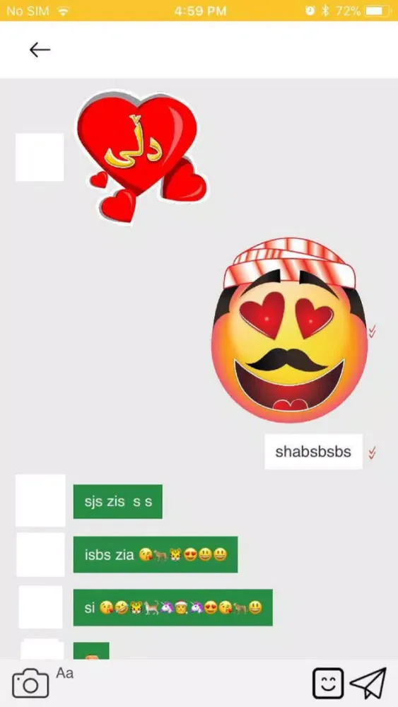 Screenshot di Bashi