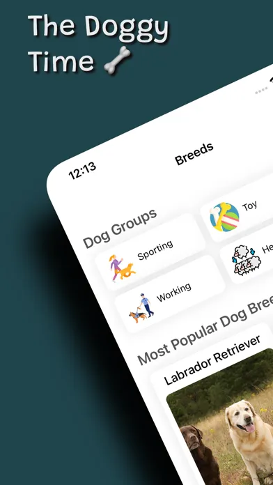ภาพหน้าจอของ Doggy Time & Dog Scanner