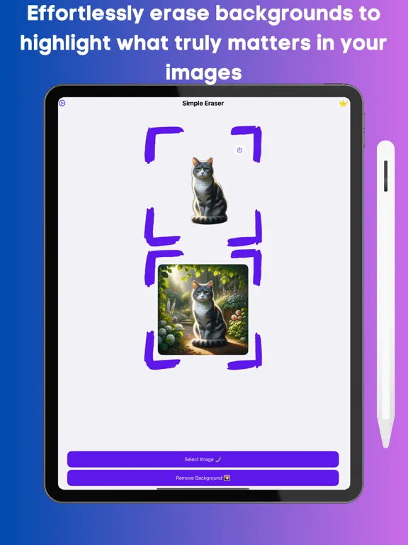 ภาพหน้าจอของ Eraser & Background Remover iPad 