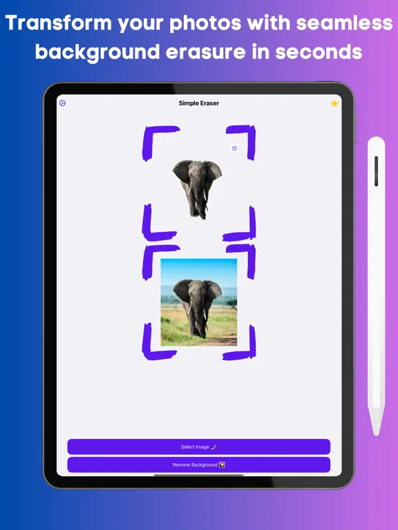ภาพหน้าจอของ Eraser & Background Remover iPad 