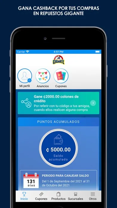 Ảnh chụp màn hình của Repuestos Gigante