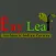 Bay Leaf Authentic