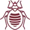 Bed Bug Management