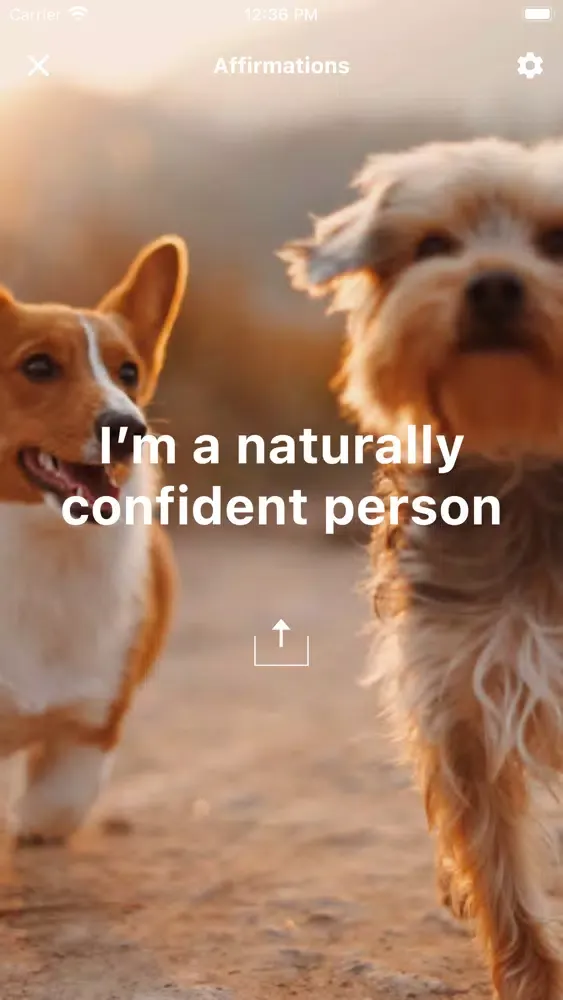 Скриншоты Confident: Love Yourself