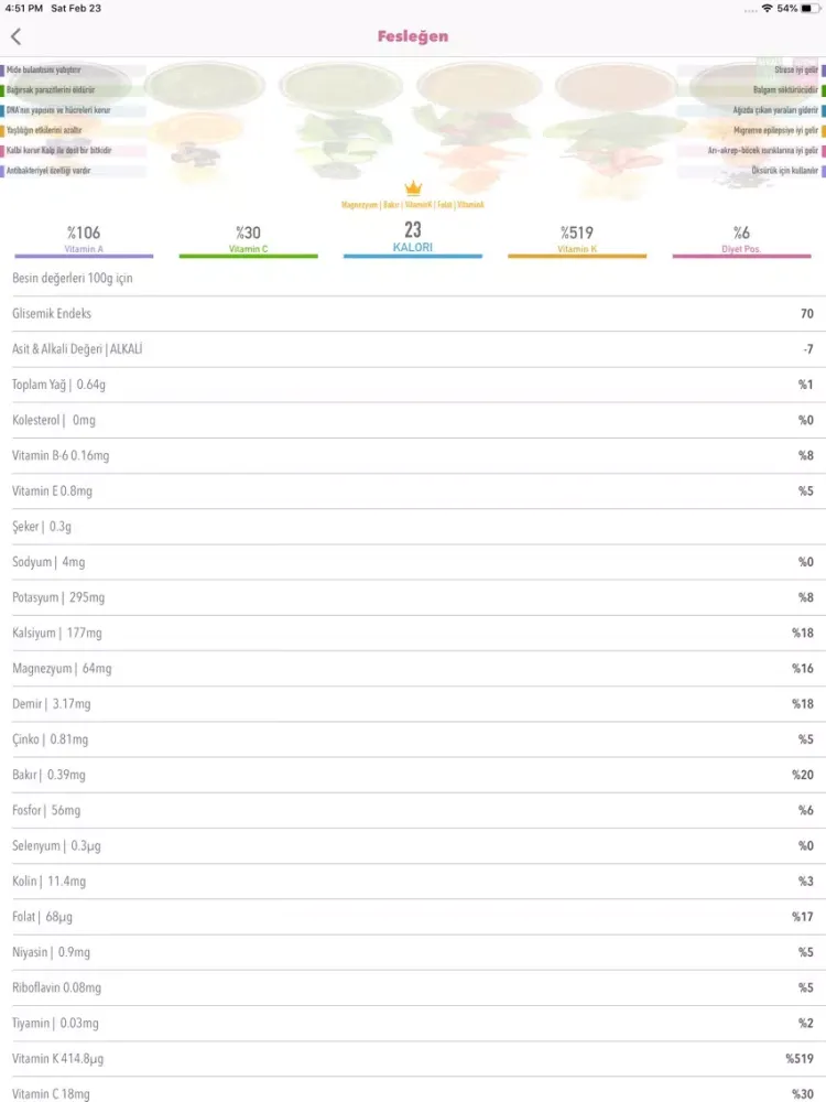 iGurme DETOKS iPad 应用截图