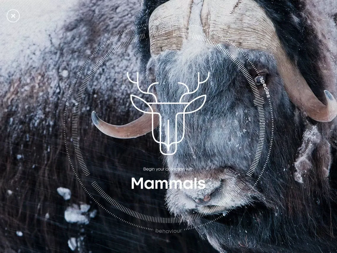 Screenshot di Attenborough Story of Life iPad 