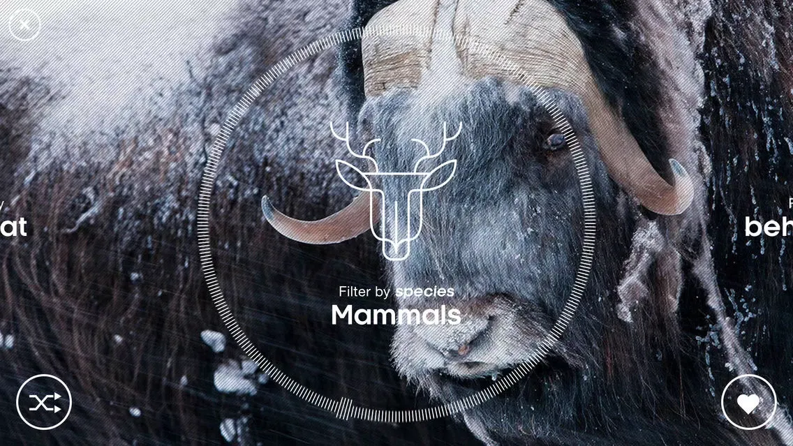 Screenshot di Attenborough Story of Life