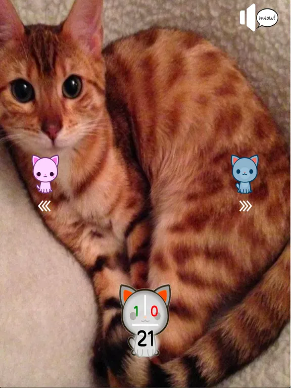 Capturas de tela do Cat's Nerd iPad 