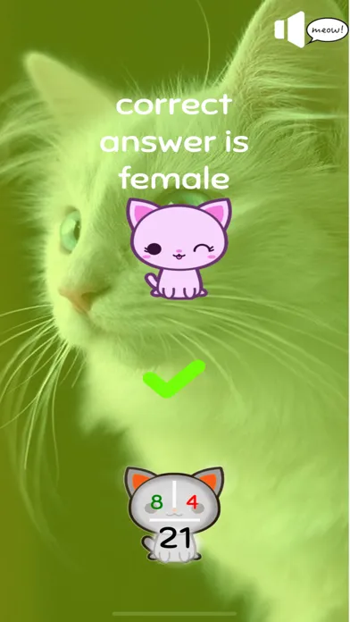 Capturas de tela do Cat's Nerd