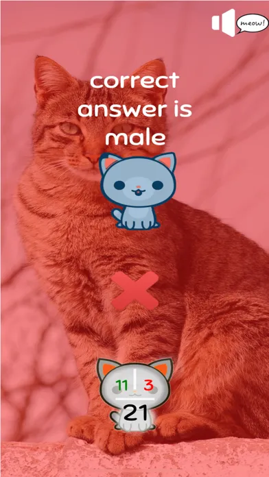 Capturas de tela do Cat's Nerd