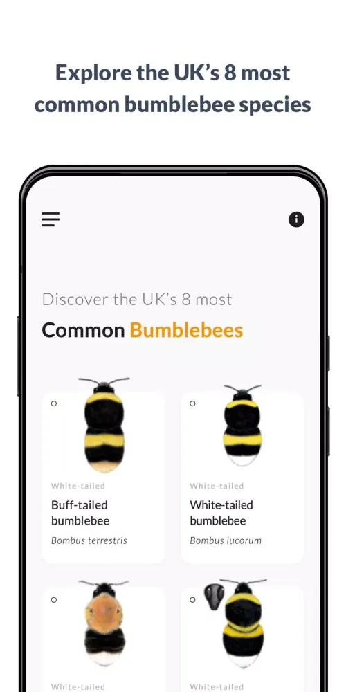 What’s that bumblebee Screenshots