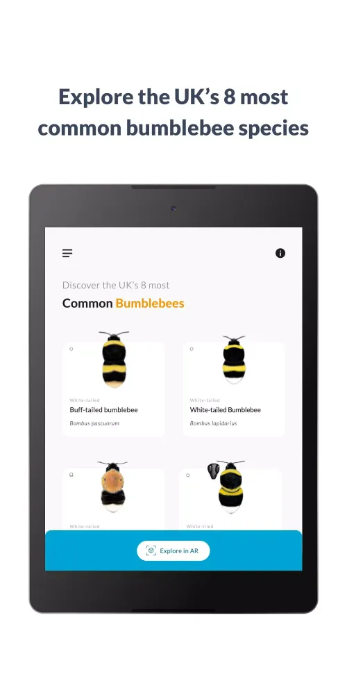 What’s that bumblebee Screenshots