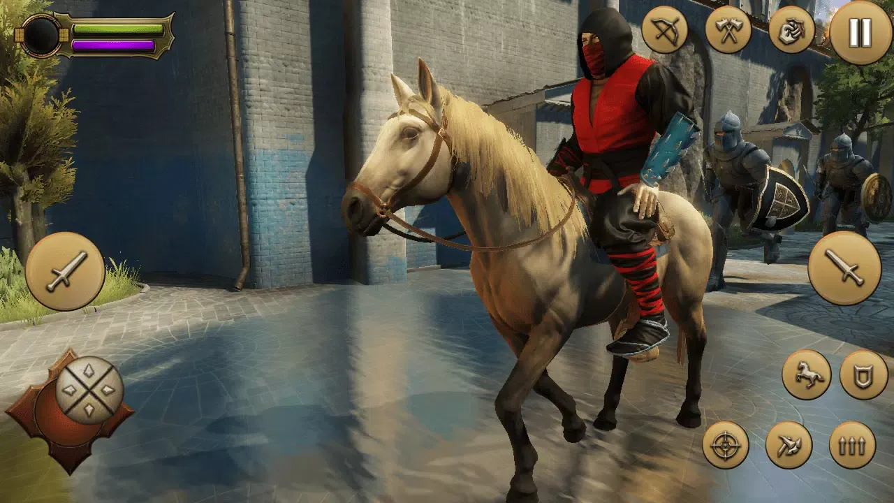 Creed Ninja Assassin Hero Screenshots