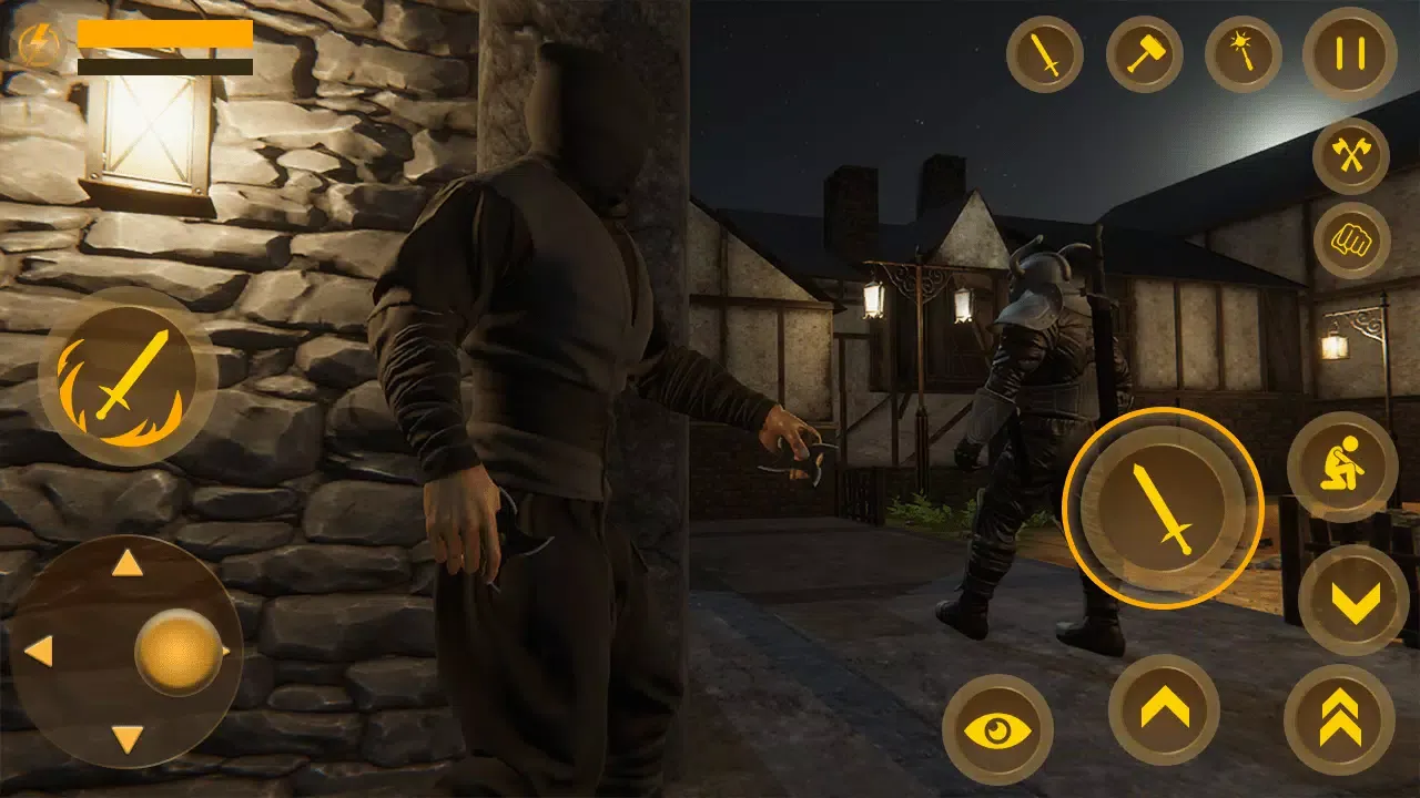Ninja Assassin Creed Shadow Screenshots
