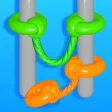 Twin Torus