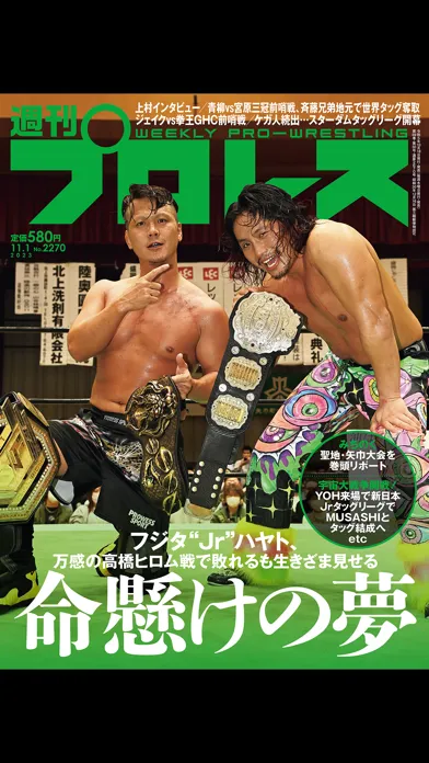 週刊プロレス Screenshots