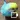 Budgerigar Camera