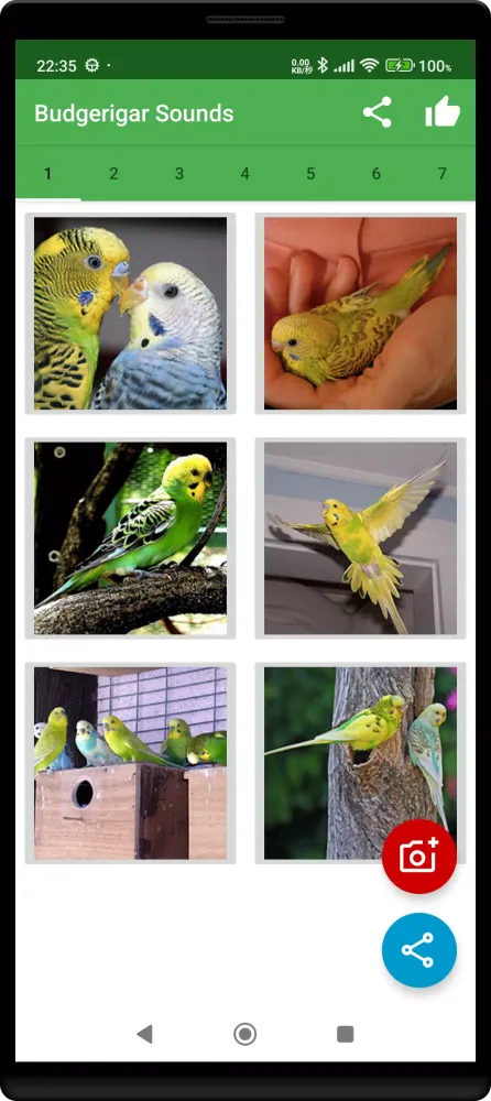 Budgerigar Camera Ekran Görüntüleri