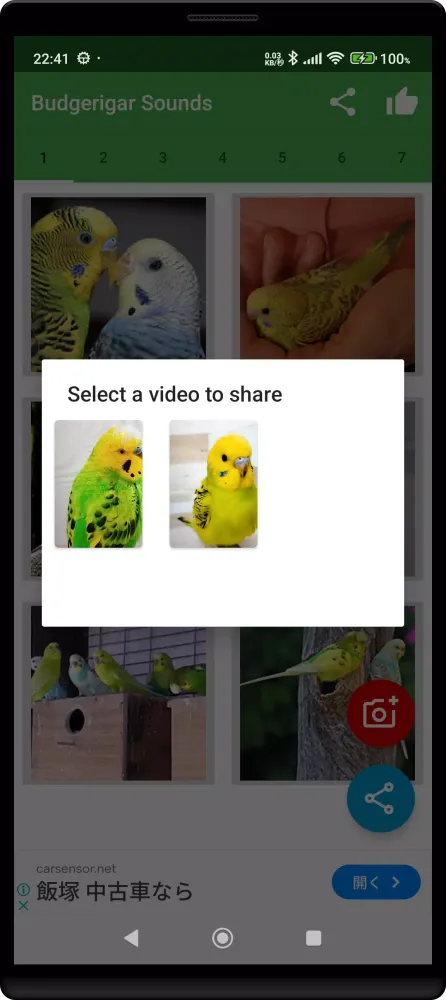 Budgerigar Camera Ekran Görüntüleri