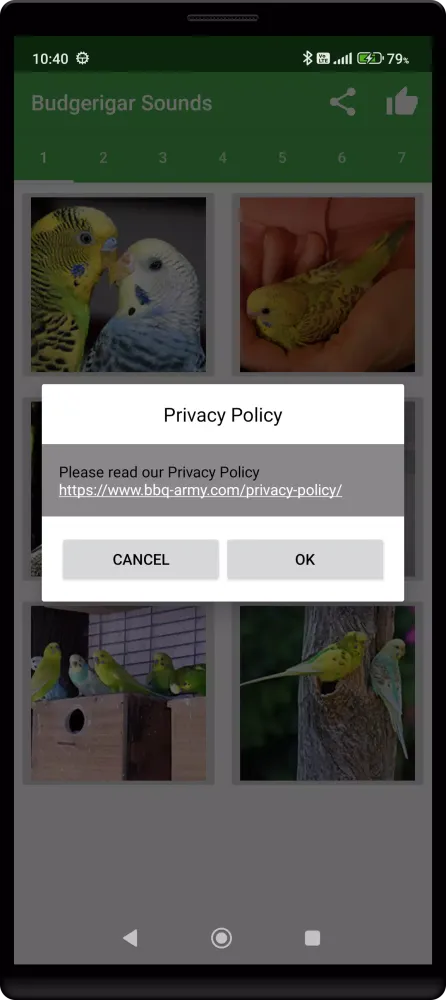 Budgerigar Camera Ekran Görüntüleri