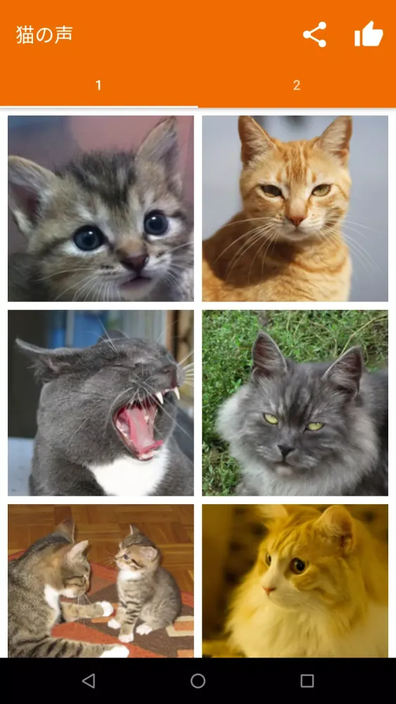 Screenshot di Meow Maker: Cat Sounds for Cat