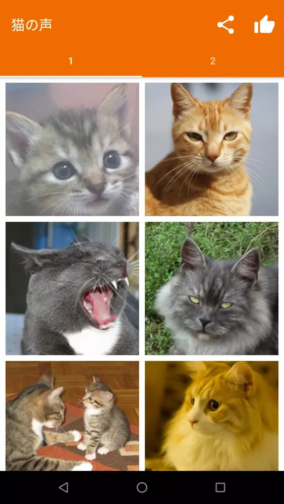 Screenshot di Meow Maker: Cat Sounds for Cat