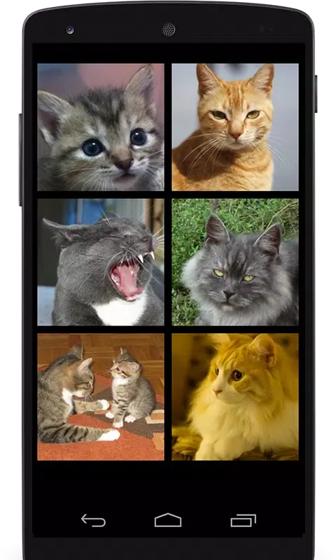 Screenshot di Meow Maker: Cat Sounds for Cat